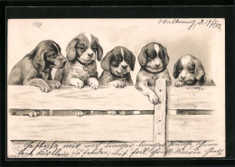 Künstler-AK Dackelwelpe Mit Vier Beaglewelpen Am Lattenzaun  - Honden