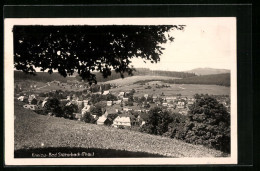 AK Stützerbach /Thür. Wald, Ortsansicht Aus Der Ferne  - Sonstige & Ohne Zuordnung