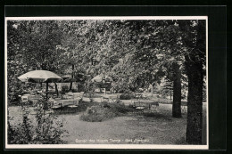 AK Bad Ilmenau, Garten Des Hotels Tanne  - Ilmenau