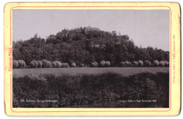 Fotografie Zedler & Vogel, Darmstadt, Ansicht Burgscheidungen, Blick Auf Das Schloss Burgscheidungen Im Unstrut Thal  - Orte