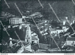 Bg585 Cartolina Sicignano Panorama Visto Dal Castello Provincia Di Salerno - Salerno