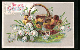 AK Osterküken Dösen Im Korb  - Easter