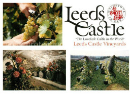 73607485 Leeds Maidstone Castle Harvesting The Grapes Vines Wine Cellar  - Other & Unclassified