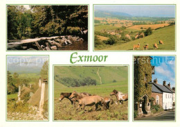 73607483 Exmoor Dorfmotiv Landschaftspanorama Pferde  - Autres & Non Classés