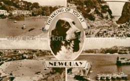 73606587 Newquay Trenance Park Boating Lake Towan Beach Dog Island Harbour Newqu - Other & Unclassified