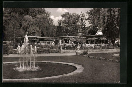 AK Zweibrücken, Rosengarten Mit Springbrunnen Und Café Dornröschen  - Zweibruecken