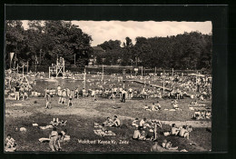 AK Kayna /Zeitz, Waldbad Mit Vielen Badegästen  - Zeitz