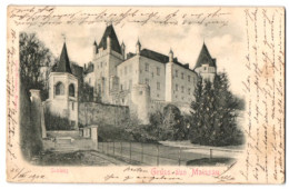 Relief-AK Maissau, Schloss In Der Gesamtansicht  - Sonstige & Ohne Zuordnung