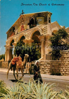 73592803 Jerusalem Yerushalayim Church Of Gethsemane Jerusalem Yerushalayim - Israel