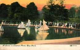 73588838 New_York_City Scene In Central Park - Andere & Zonder Classificatie