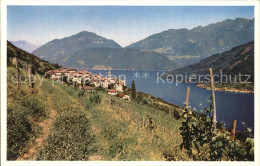 12471111 Lugano TI Albergo Della Roccia Lugano - Andere & Zonder Classificatie