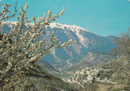 84 - Le Mont Ventoux -le Pittoresque Village De Brantes - Altri & Non Classificati