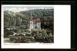 AK Meissen, Totalansicht Des Waldschlösschen  - Meissen