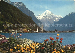 12467172 Flueelen UR Blumenpracht Am Vierwaldstaettersee Bristenschock Urner Alp - Andere & Zonder Classificatie