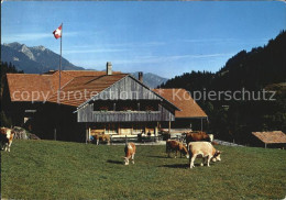 12457858 Oberwil Simmental Berggasthaus Rossberg Oberwil Simmental - Autres & Non Classés