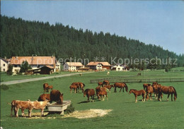 12457808 Franches Montagnes Pferde Panorama La Chaux-de-Fonds - Autres & Non Classés