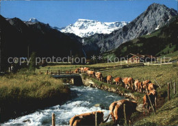 12456801 Adelboden Alpaufzug Engstligenbach Mit Wildstrubel Adelboden BE - Sonstige & Ohne Zuordnung