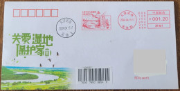 China Cover Tianjin Dagang Wetland Nature Reserve (Tianjin) Postage Stamp First Day Actual Delivery Art Seal - Enveloppes