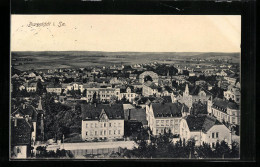 AK Burgstädt I. Sa., Gesamtansicht Aus Der Vogelschau  - Burgstaedt