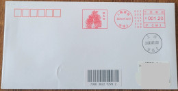 China Cover "Ginkgo Tree" (Shanghai) Postage Stamp First Day Actual Delivery Seal - Enveloppes