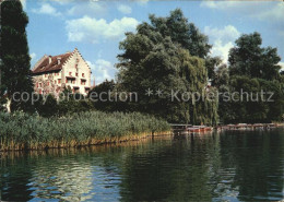 12447498 Greifensee Partie Am See Greifensee - Sonstige & Ohne Zuordnung