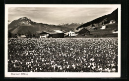 AK Oberjoch Bei Hindelang, Ortspartie Mit Pass  - Hindelang