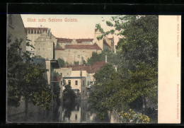 AK Colditz, Blick Auf Das Schloss  - Colditz