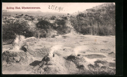 AK Neuseeland, Boiling Mud, Whakarewarewa  - Nueva Zelanda