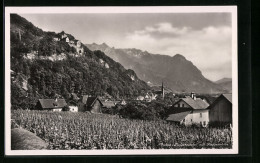 AK Vaduz, Ortsansicht Mit Rappenstein  - Liechtenstein