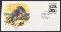Frankreich France Fauna Otter Schöner Künstler Brief - Lettres & Documents