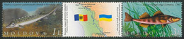 Moldova 2007 MiNr. 595 - 596  Moldawien Fauna Of The Nistru River Fish Joint Issue With Ukraine 2 MNH ** 3,30 € - Moldawien (Moldau)