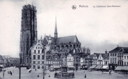 MALINES - MECHELEN -  La Cathedrale Saint Rombaut - Malines