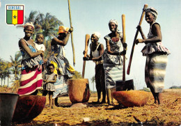 SENEGAL SCENE VILLAGEOISE - Sénégal