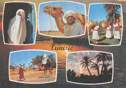 TUNISIE - Tunisie