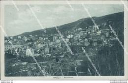 Bg87 Cartolina Paola Panorama Provincia Di Cosenza - Cosenza