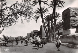 MAROC MARRAKECH DEPART POUR LE SOUK - Marrakech