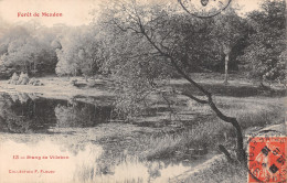 92 MEUDON L ETANG DE VILLEBON - Meudon