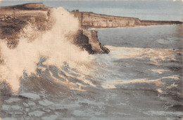 17 CHATELAILLON LA FALAISE DES BOUCHELEURS - Châtelaillon-Plage