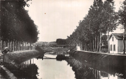 51 VITRY LE FRANCOIS LE PONT DES MOGNOTTES - Vitry-le-François