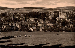 H1758 - TOP Schirgiswalde - Verlag PGH ROTOPHOT Handabzug - Bautzen