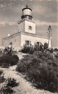 83 ILE DE PORQUEROLLES LE PHARE - Porquerolles