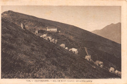 65-CAUTERETS-N°3785-H/0219 - Cauterets