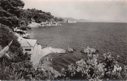 83-TOULON-N°3786-B/0161 - Toulon