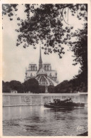 75 PARIS NOTRE DAME TAXE - Notre Dame De Paris
