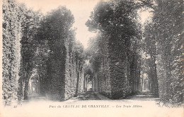 60-CHANTILLY-N°3786-D/0005 - Chantilly