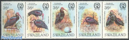 Eswatini/Swaziland 1984 Bald Ibis 5v [::::], Mint NH, Nature - Birds - Swaziland (1968-...)