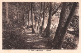 31-PAYSAGE DE CAMPAGNE-N°3787-A/0335 - Autres & Non Classés