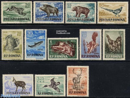 Romania 1956 Animals For Hunting 12v, Mint NH, Nature - Animals (others & Mixed) - Birds - Cat Family - Deer - Ducks -.. - Nuovi