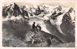 74-CHAMONIX-N°3787-E/0311 - Chamonix-Mont-Blanc