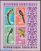 Togo 1972 Birds S/s, Mint NH, Nature - Birds - Togo (1960-...)